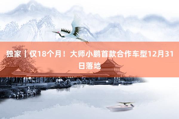 独家｜仅18个月！大师小鹏首款合作车型12月31日落地